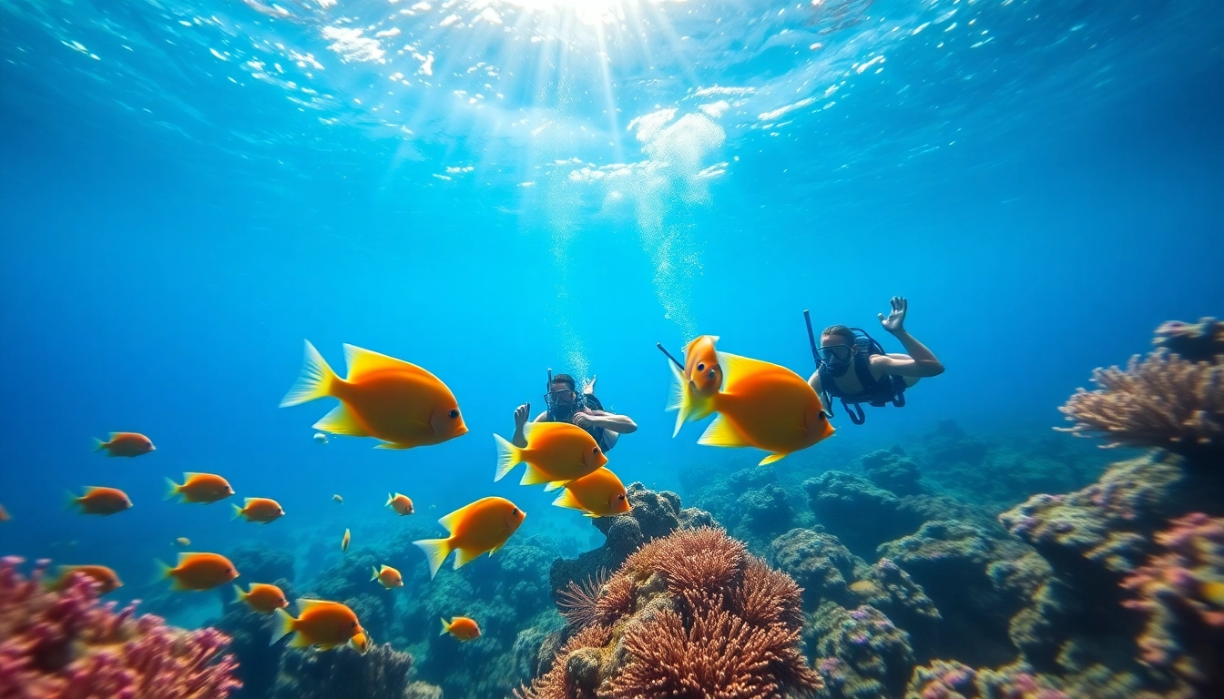 Snorkel Puerto Rico divers exploring vibrant coral reefs teeming with fish.